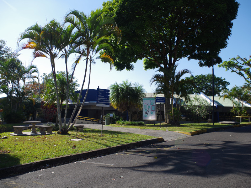 Imagen de entrada a las instalaciones de la escuela, acceso a rampa con árboles, zacate en los jardines en aterdecer soleado