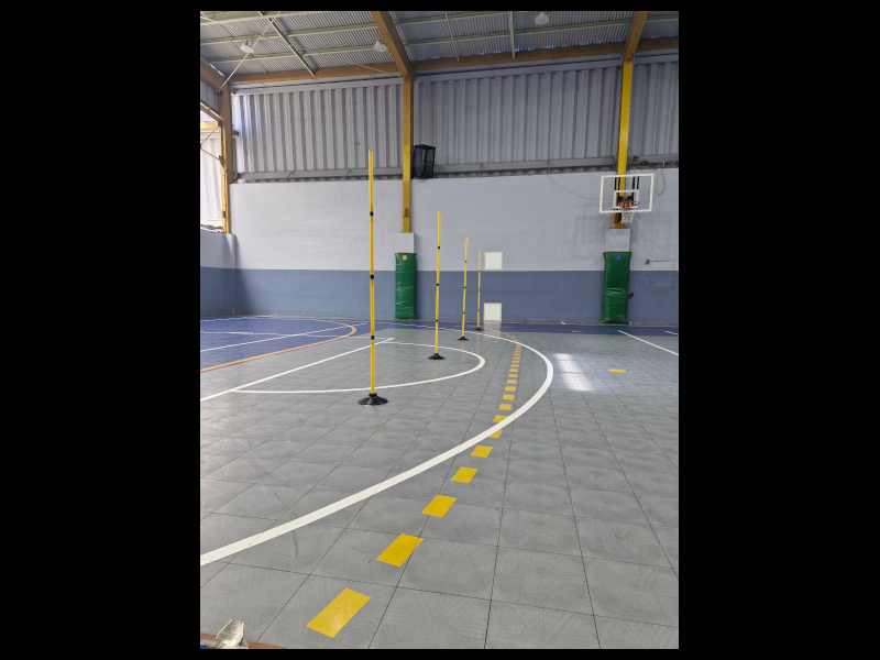 Imagen ilustrativa de prueba en gimnasio con piso sintético